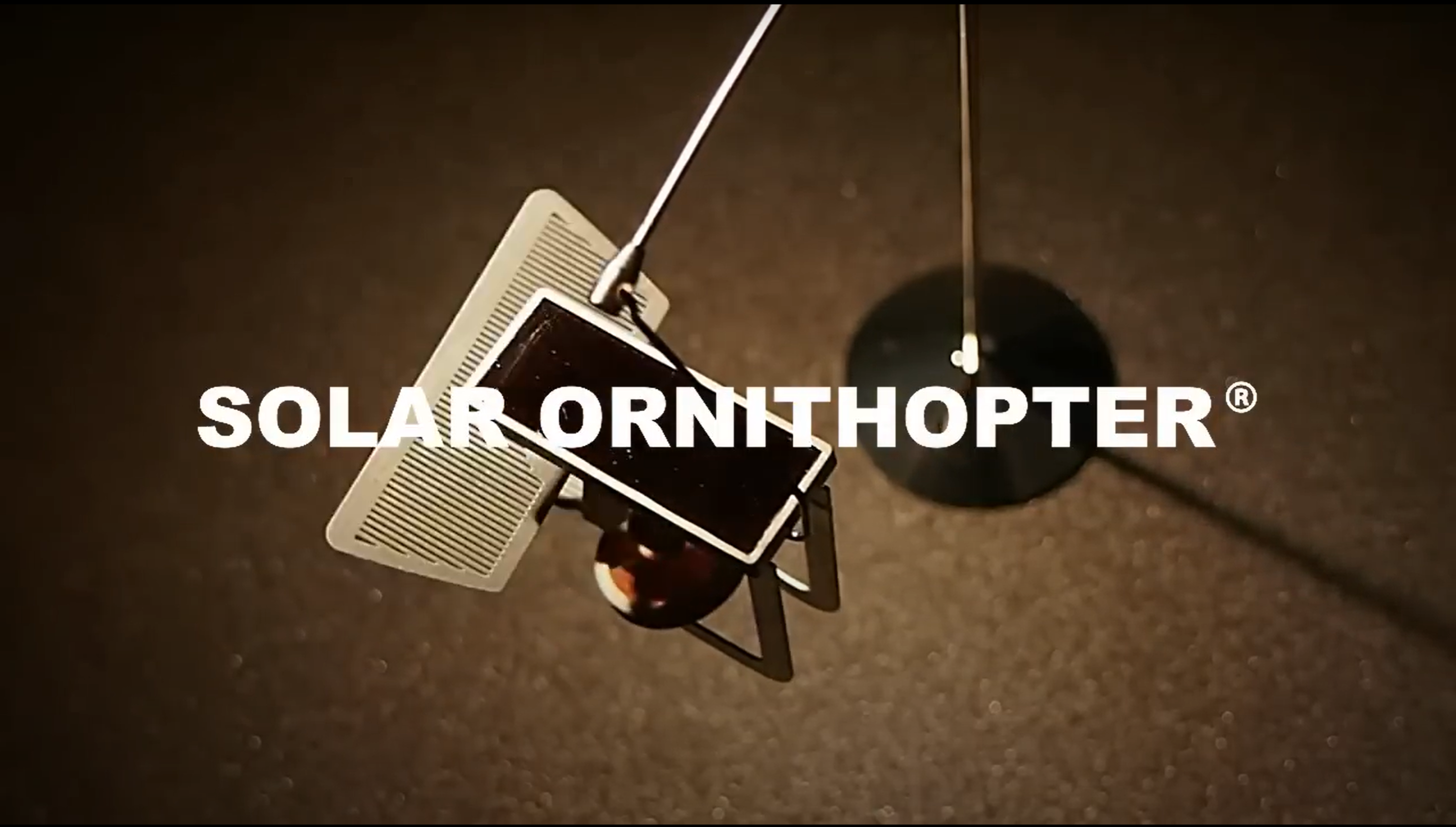 Load video: Solar Ornithopter Video